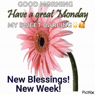 Good Morning My Sweet Darling Pink Flower Blessings GIF