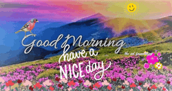 Good Morning Nice Butterflies GIF