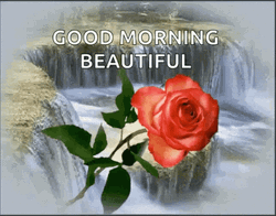 Good Morning Princess GIF