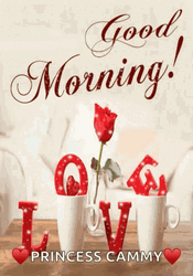 Good Morning Princess GIF