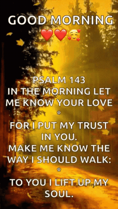Good Morning Psalm 143 Trust and Love