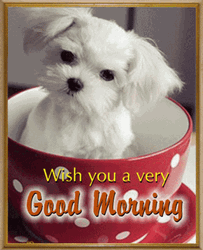 Good Morning Puppies Cute Coffee Cup GIF
