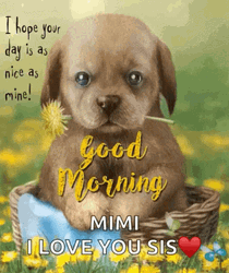 Good Morning Puppies Cute Quotes GIF