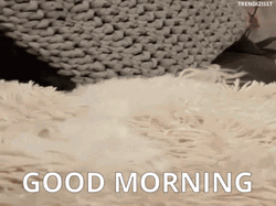 Good Morning Puppies GIF