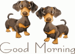 Good Morning Puppies Wagging Tail GIF