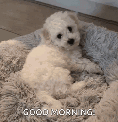 Good Morning Puppies Waving Paws GIF