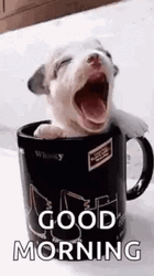 Good Morning Puppies Yawning Mug GIF
