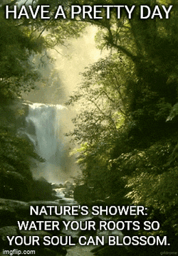 Good Morning Quotes GIF