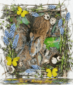 Good Morning Rainy Day Cute Squirrel GIF