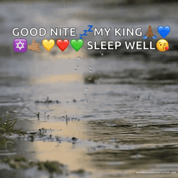 Good Morning Rainy Day Puddle My King GIF