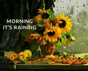 Good Morning Rainy Day Sunflowers GIF