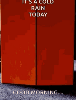 Good Morning Rainy Day Woody Entrance GIF