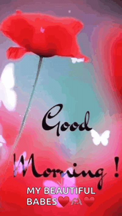 Good Morning Red Flower Butterflies Pink Background GIF