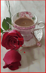 Good Morning Red Roses GIF
