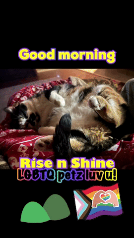 Good Morning Rise And Shine Pookie GIF