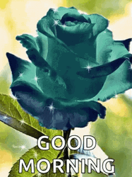 Good Morning Rose Sparkling Green GIF