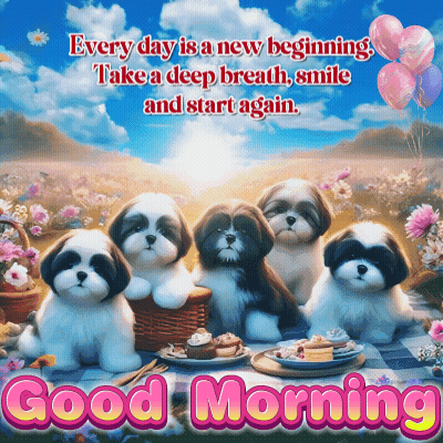 Good Morning Shih Tzu Puppies GIF