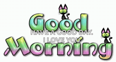 Good Morning Sign With Cat GIF