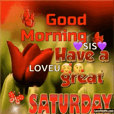 Good Morning Sis Saturday Greeting With Red Flower GIF