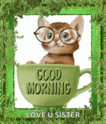 Good Morning Sister Cat GIF