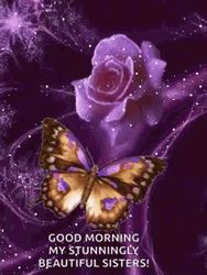 Good Morning Sister With Rose And Butterfly GIF