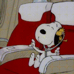Good Morning Snoopy Good Morning GIF