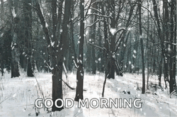 Good Morning Snow Beautiful Snow Flake GIF