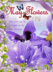 Good Morning Sparkles May Flowers GIF