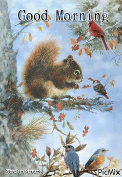 Good Morning Squirrel GIF