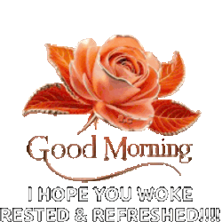 Good Morning Sticker GIF