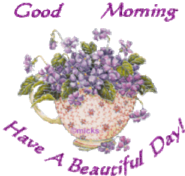 Good Morning Sticker GIF