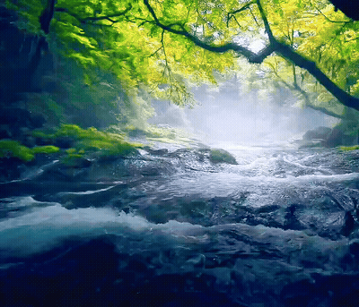 Good Morning/stream GIF