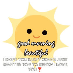 Good Morning Sun Hope You Had Great Day GIF
