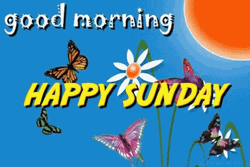 Good Morning Sunday Butterfly Garden GIF