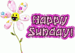Good Morning Sunday Happy Sparkly Flower Sticker  GIF