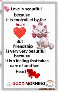 Good Morning Sunday Happy Sunday GIF