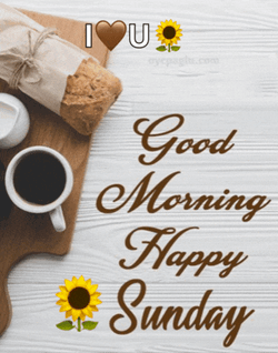 Good Morning Sunday Meme GIF
