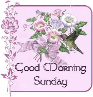 Good Morning Sunday Sign With Flowers And Hummingbird Sticker