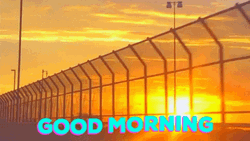Good Morning Sunrise Car Ride Travel GIF