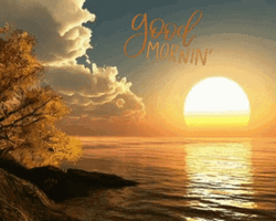 Good Morning Sunrise Golden Sea Clouds Reflection GIF