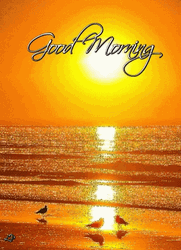 Good Morning Sunrise Sea Birds Chilling GIF