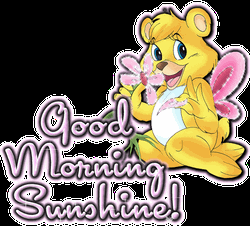 Good Morning Sunshine Bear Flowers GIF