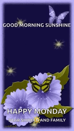Good Morning Sunshine Greeting Card Purple Flowers Butterflies Shireen GIF