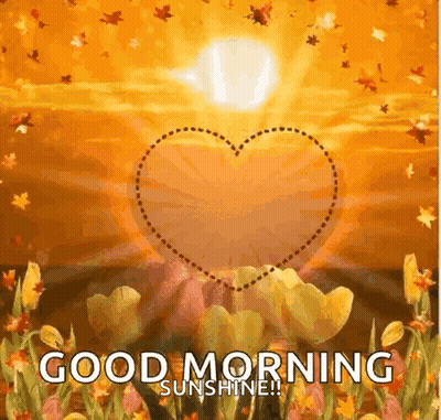 Good Morning Sunshine Greeting With Heart In Flower Field GIF