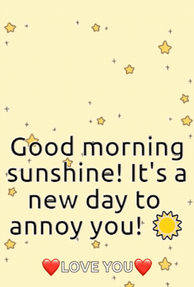 Good Morning Sunshine New Day To Annoy You Love You GIF