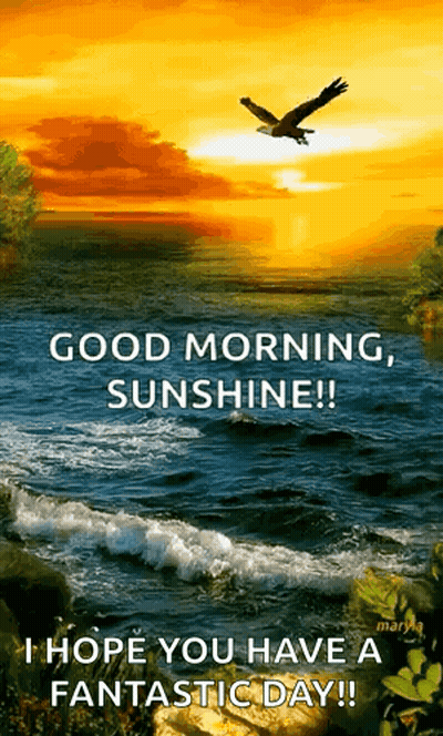 Good Morning Sunshine GIF