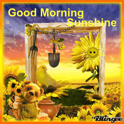 Good Morning Sunshine Sunflowers Teddy Bear Yellow Bird GIF