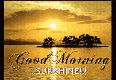 Good Morning Sunshine Sunset Over Lake With Trees GIF