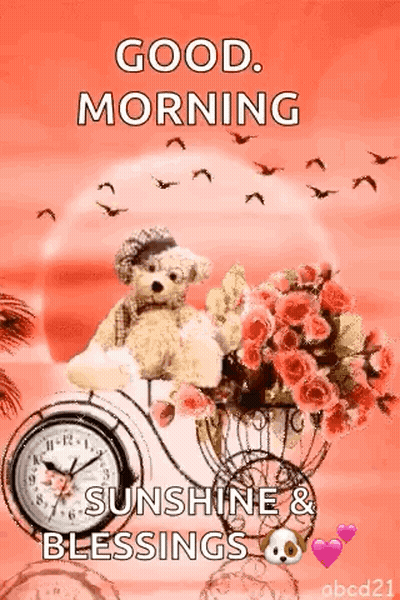 Good Morning Sunshine Teddy Bear On Bike GIF