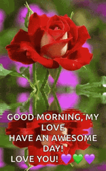 Good Morning Sweetheart Have Awesome Day GIF
